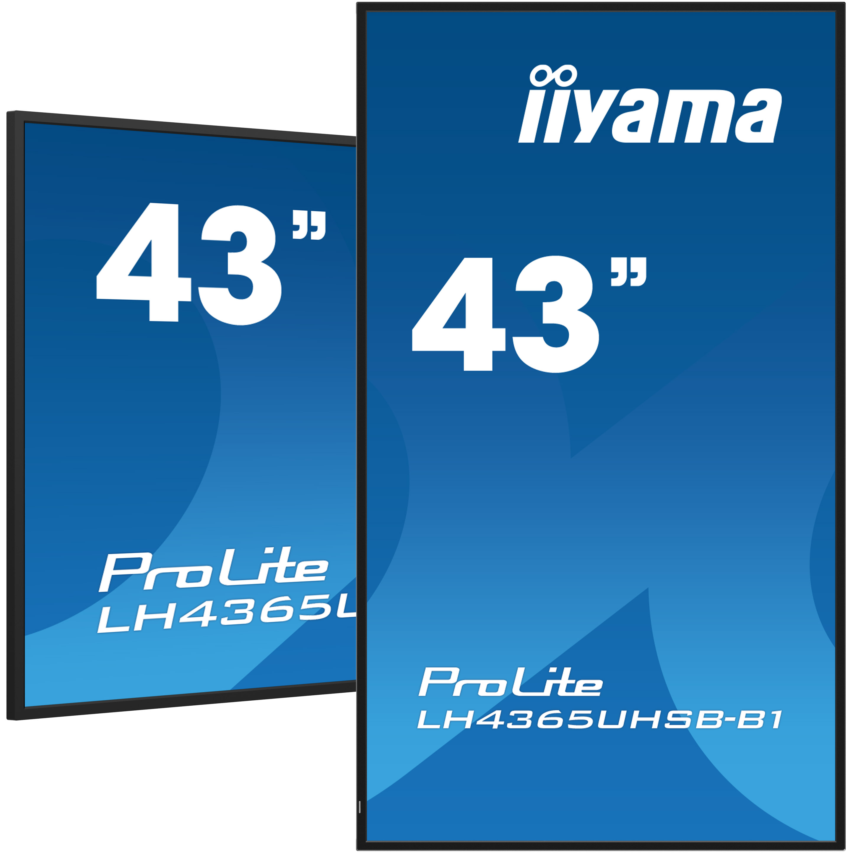 iiyama ProLite 4K IPS LED, 24/7 43"